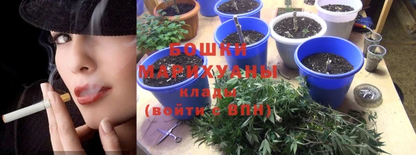 бошки Алексин